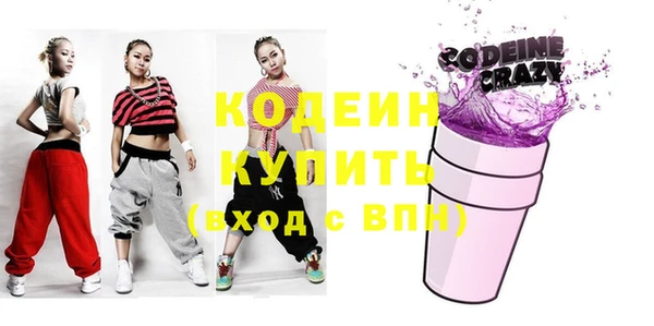 индика Новокубанск