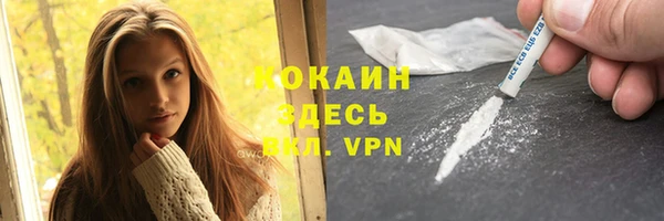 Альфа ПВП Няндома