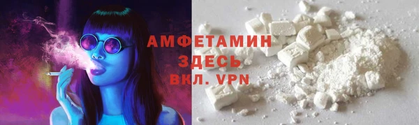 индика Новокубанск