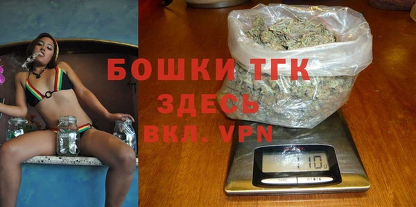 индика Новокубанск