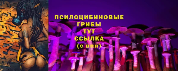 Альфа ПВП Няндома