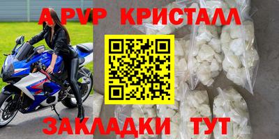 мет Кингисепп