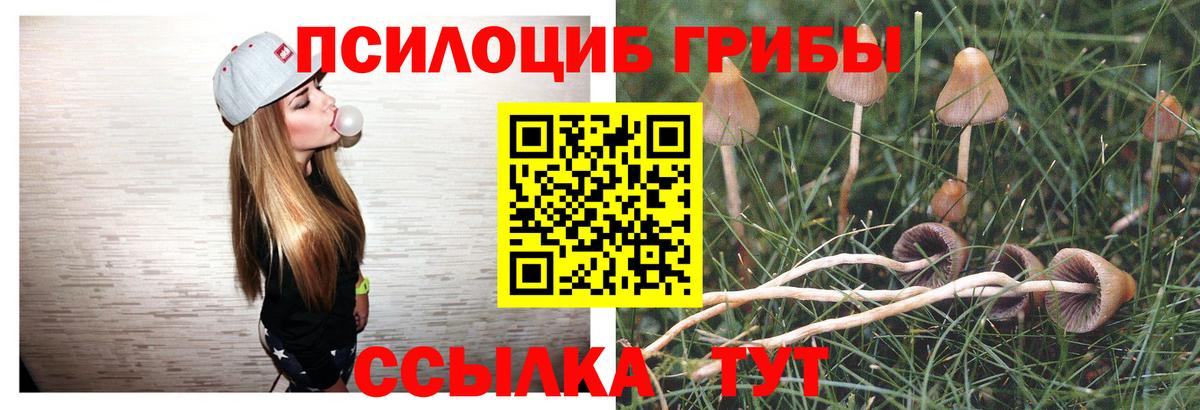 Галлюциногенные грибы Cubensis Пермь